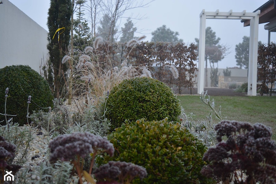 Ogród prowansalski - zdjęcie od Green Decor Ogrody