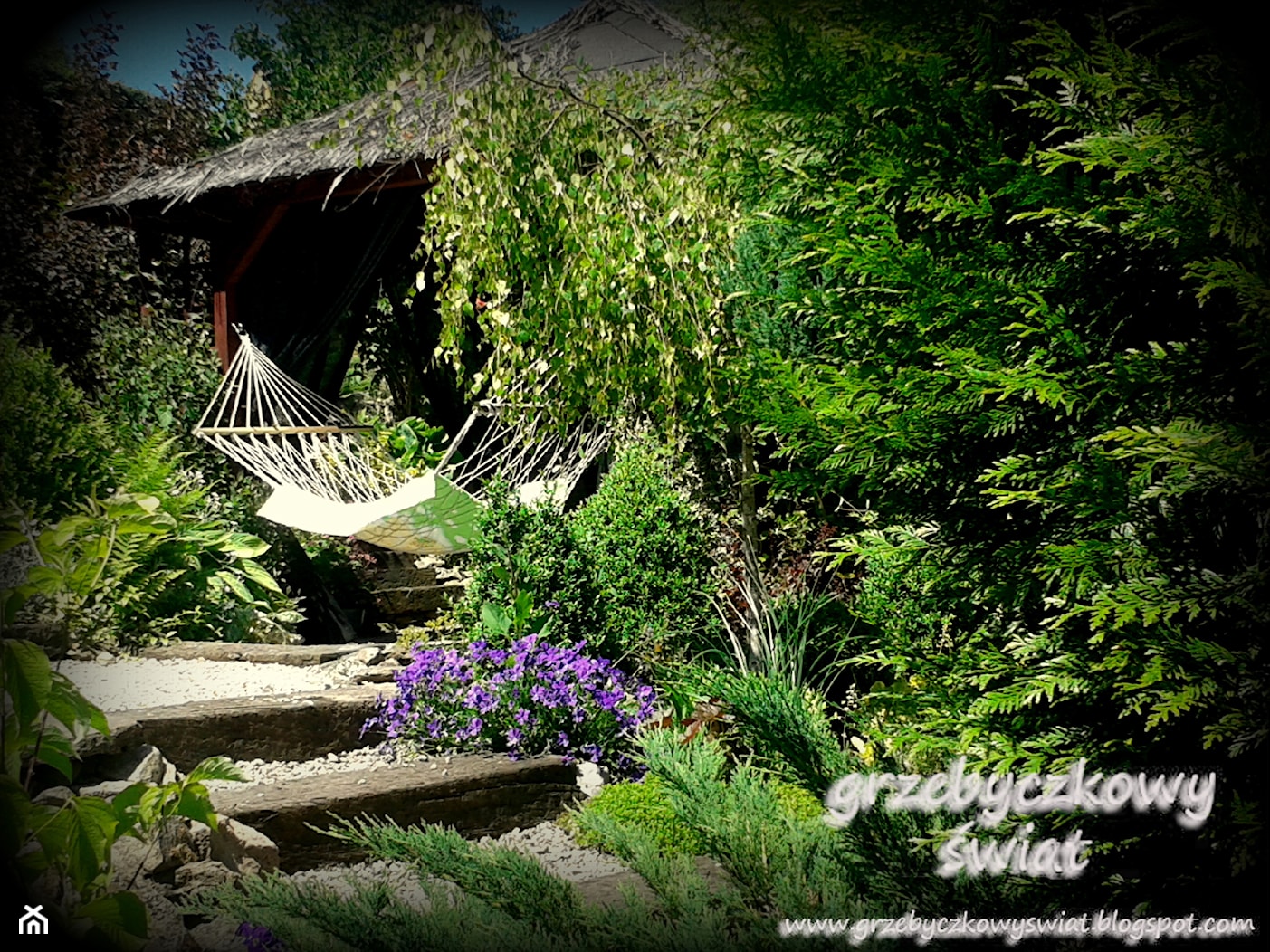 grzebyczkowy świat - Ogród - zdjęcie od Jolanta Grzebyk - Homebook