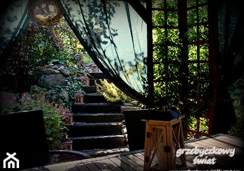 grzebyczkowy świat - Średni ogród za domem - zdjęcie od Jolanta Grzebyk