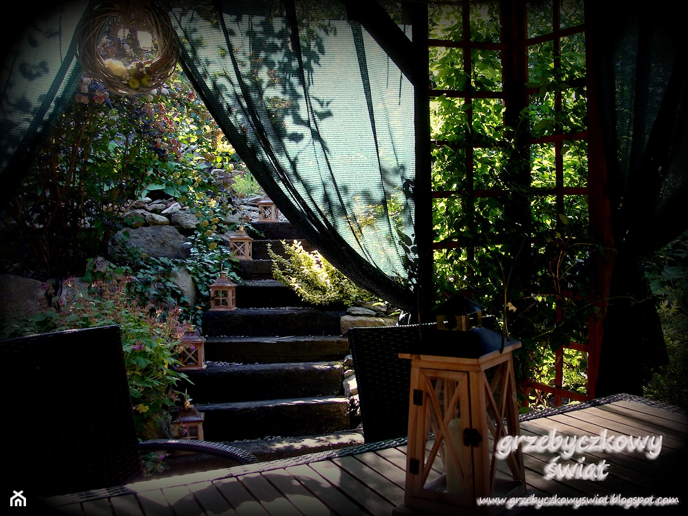 grzebyczkowy świat - Średni ogród za domem - zdjęcie od Jolanta Grzebyk - Homebook
