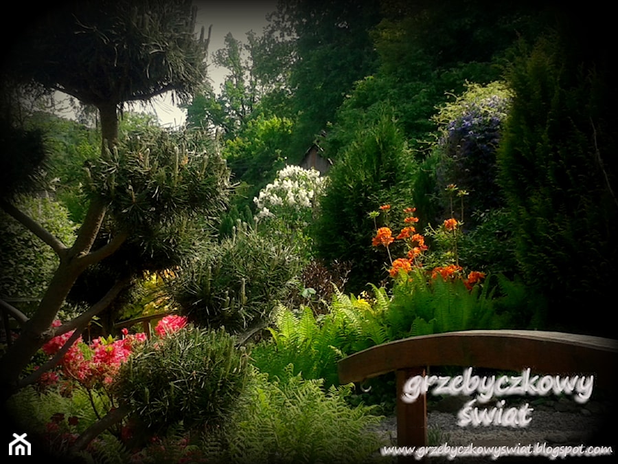 grzebyczkowy świat - Ogród - zdjęcie od Jolanta Grzebyk