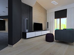 Dom 260 m2 - Salon, styl nowoczesny - zdjęcie od Projekt Kolektyw