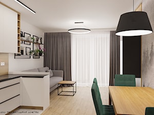 Mieszkanie w Krakowie na Klinach - Salon, styl nowoczesny - zdjęcie od ML Projekt