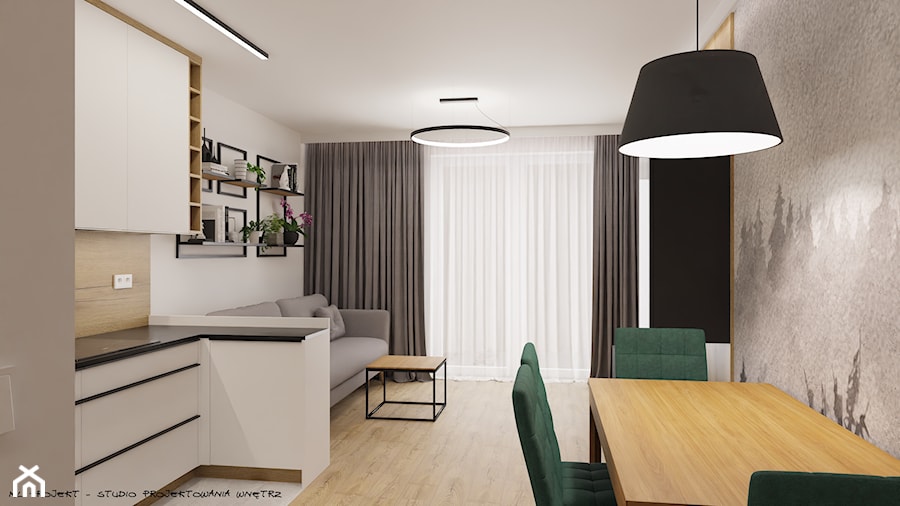 Mieszkanie w Krakowie na Klinach - Salon, styl nowoczesny - zdjęcie od ML Projekt