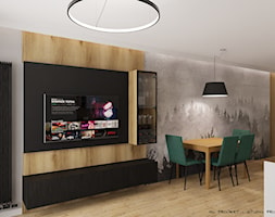 Mieszkanie w Krakowie na Klinach - Salon, styl nowoczesny - zdjęcie od ML Projekt - Homebook