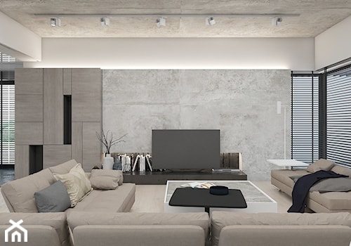 Dom jednorodzinny 2016 Nakło Śląskie - Średni biały szary salon, styl nowoczesny - zdjęcie od A2 STUDIO pracownia architektury