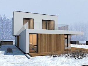 Koncepcja domu jednorodzinnego / Mikołów - Średnie jednopiętrowe nowoczesne domy jednorodzinne murowane - zdjęcie od A2 STUDIO pracownia architektury