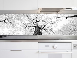 Panel Szklany Drzewo - zdjęcie od Inoutprint