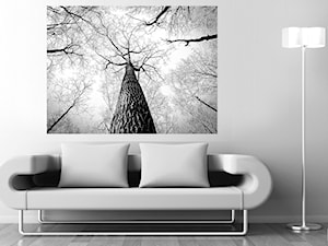 Obraz na płótnie Drzewo - zdjęcie od Inoutprint