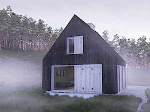 w-House - zdjęcie od CUBE Studio Architektury