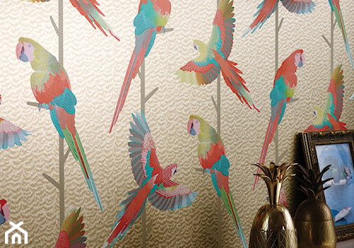Tapeta Arini w papugi - Matthew Williamson dla Osborn&Little - zdjęcie od Ardeko