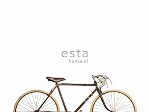 Tapeta, panel old bicy­cle 279cm x 232.5cm, retro rower - zdjęcie od Ardeko
