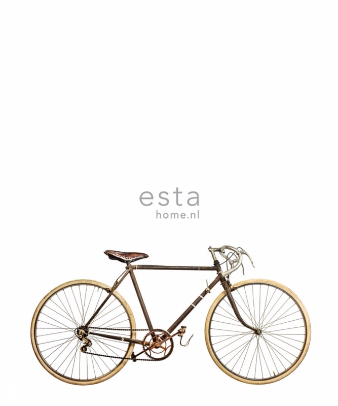 Tapeta, panel old bicy­cle 279cm x 232.5cm, retro rower - zdjęcie od Ardeko - Homebook