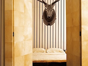 Fototapeta Immagine wall&deco. Poroże jelenia - zdjęcie od Ardeko