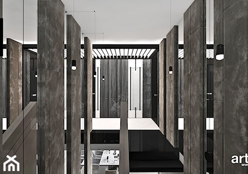 LEAVE NO STONE UNTURNED | I | Wnętrza domu - Hol / przedpokój, styl nowoczesny - zdjęcie od ARTDESIGN architektura wnętrz
