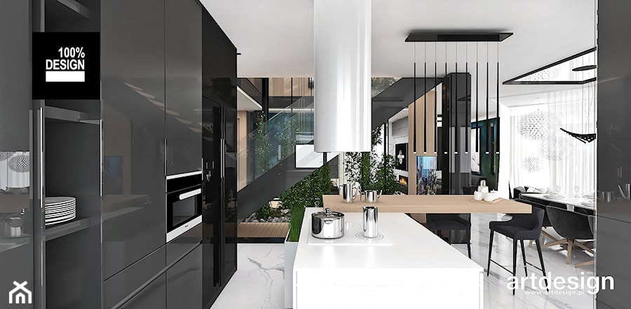 BIRD'S EYE VIEW | I | Wnętrza domu - Kuchnia, styl nowoczesny - zdjęcie od ARTDESIGN architektura wnętrz