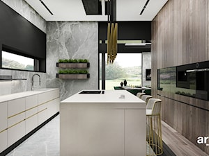 projekt kuchni z wyspą - zdjęcie od ARTDESIGN architektura wnętrz