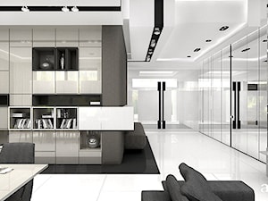 THE ACID TEST | I | Wnętrza rezydencji - Hol / przedpokój, styl nowoczesny - zdjęcie od ARTDESIGN architektura wnętrz