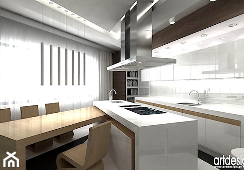 biała kuchnia - projekty - zdjęcie od ARTDESIGN architektura wnętrz