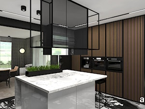 LIKE A DUCK TO WATER | I | Wnętrza domu - Kuchnia, styl nowoczesny - zdjęcie od ARTDESIGN architektura wnętrz