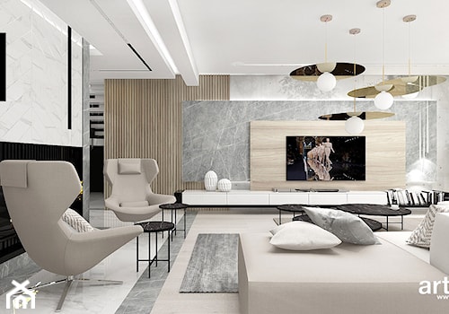 PERFECT MATCH | I | Wnętrza domu - Duży salon, styl nowoczesny - zdjęcie od ARTDESIGN architektura wnętrz