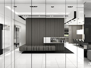THE ACID TEST | I | Wnętrza rezydencji - Hol / przedpokój, styl nowoczesny - zdjęcie od ARTDESIGN architektura wnętrz