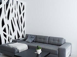 Jedyne.Takie.Wnętrza - Monochromatyczny minimalizm - Salon, styl minimalistyczny - zdjęcie od Jedyne.Takie.Wnętrza Paulina Kononowicz-Kwaśnik