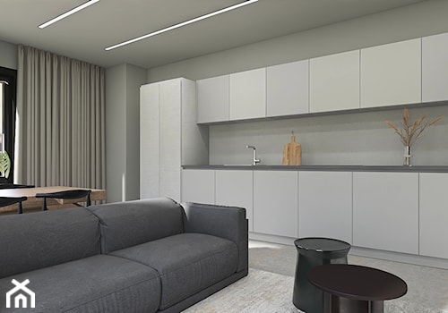 Minimalistyczny apartament - wizki - Kuchnia, styl minimalistyczny - zdjęcie od Bargański Pracownia Wnętrz