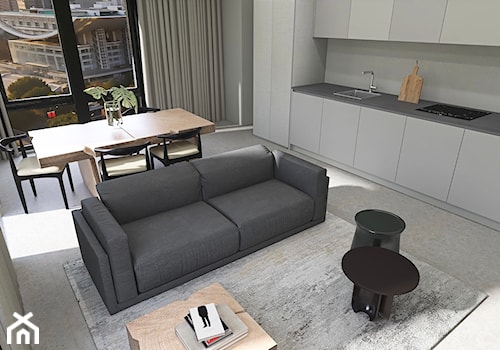 Minimalistyczny apartament - wizki - Salon, styl minimalistyczny - zdjęcie od Bargański Pracownia Wnętrz