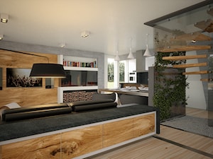 Dom Framehouse - Średni szary salon z kuchnią z jadalnią - zdjęcie od BAUART STUDIO Pracownia Architektury