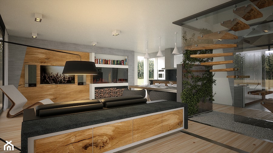Dom Framehouse - Średni szary salon z kuchnią z jadalnią - zdjęcie od BAUART STUDIO Pracownia Architektury