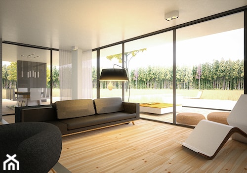 Dom Framehouse - Średni biały szary salon z tarasem / balkonem - zdjęcie od BAUART STUDIO Pracownia Architektury