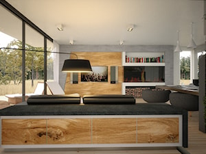 Dom Framehouse - Średni szary salon z jadalnią - zdjęcie od BAUART STUDIO Pracownia Architektury