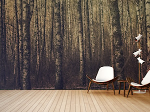 Fototapeta las brzozowy 3D - zdjęcie od REDRO