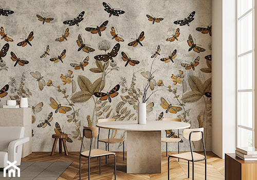 Fototapeta motyle w salonie - zdjęcie od REDRO