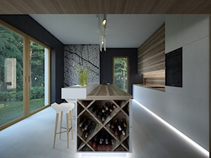 Dom w Lesie - Poznań, Suchy Las - Kuchnia, styl nowoczesny - zdjęcie od Concept