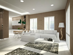 Dom w zabudowie bliźniaczej, Grzybowo - Salon, styl nowoczesny - zdjęcie od Concept