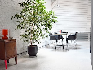 KATO LOFT - Średnia szara jadalnia jako osobne pomieszczenie, styl skandynawski - zdjęcie od Grzegorz Layer