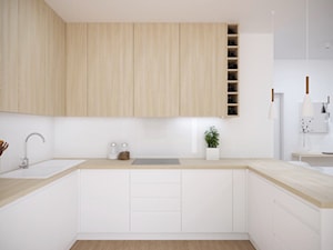 Siedliska - projekt parteru domu - Kuchnia, styl nowoczesny - zdjęcie od Studio Monocco
