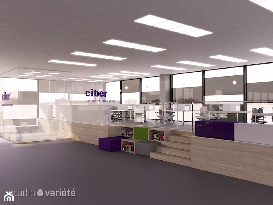 Projekt biura firmy Ciber - zdjęcie od Studio Variété