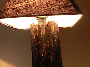Niepowtarzalne lampy z wiekowego drewna 