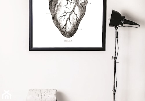 Anatomical hearth - zdjęcie od agakubish