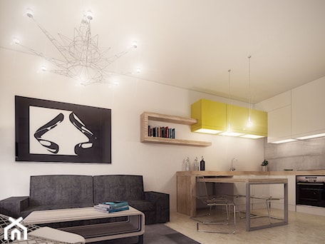 Aranżacje wnętrz - Salon: Small modern apartment 01 - BAMM studio. Przeglądaj, dodawaj i zapisuj najlepsze zdjęcia, pomysły i inspiracje designerskie. W bazie mamy już prawie milion fotografii!