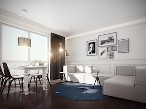 Small modern apartment 02