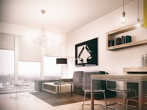 Small modern apartment 01