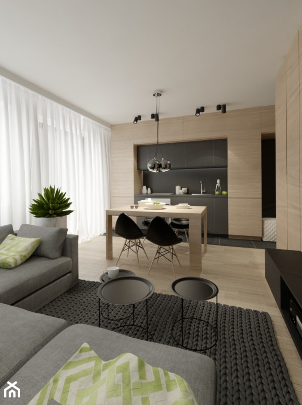 APARTAMENT 50m PUŁAWY - Salon, styl nowoczesny - zdjęcie od THE VIBE