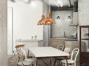 Stare-Nowe - Mała otwarta kuchnia w kształcie litery l, styl nowoczesny - zdjęcie od Pracownia InSide