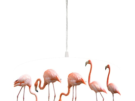 Aranżacje wnętrz - Jadalnia: Lampa sufitowa Flamingi - 4FunDesign. Przeglądaj, dodawaj i zapisuj najlepsze zdjęcia, pomysły i inspiracje designerskie. W bazie mamy już prawie milion fotografii!