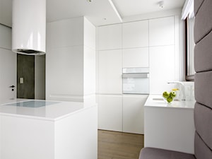 HOLA_23 - Średnia duża otwarta z zabudowaną lodówką kuchnia z oknem, styl nowoczesny - zdjęcie od HOLA DESIGN