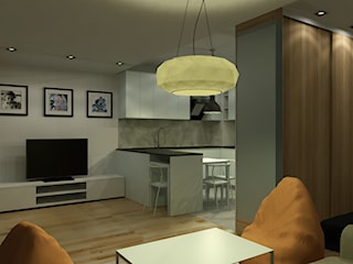 Apartament 01